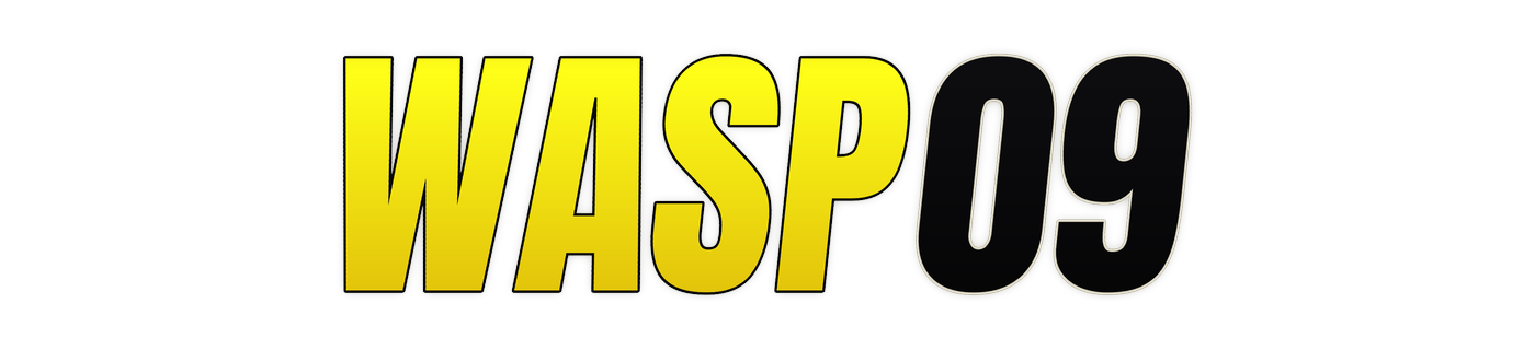 wasp09